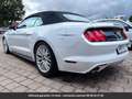 Ford Mustang Premium Tout compris hors homologation 4500e Blanc - thumbnail 5