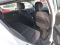 Kia Sportage Sportage 1.7 CRDI VGT 2WD Cool 'ANCHE EXPORT UE' Blanco - thumbnail 12