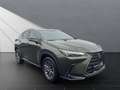 Lexus NX 350h Executive Line 350h Zielony - thumbnail 7