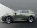 Lexus NX 350h Executive Line 350h Zielony - thumbnail 2