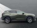 Lexus NX 350h Executive Line 350h Zielony - thumbnail 6