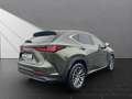 Lexus NX 350h Executive Line 350h Zielony - thumbnail 5