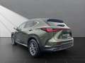 Lexus NX 350h Executive Line 350h Zielony - thumbnail 3