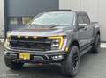 Ford F 150 USA Raptor R Grijs - thumbnail 33