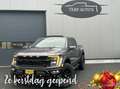 Ford F 150 USA Raptor R Grijs - thumbnail 41
