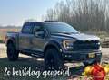 Ford F 150 USA Raptor R Grijs - thumbnail 9