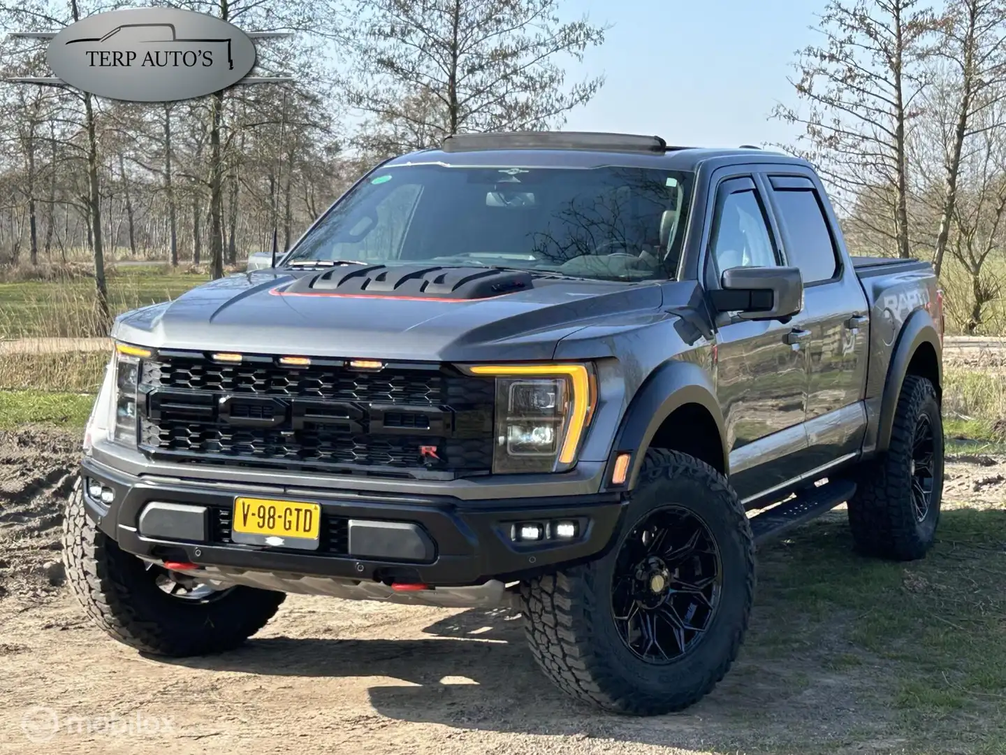 Ford F 150 USA Raptor R Grijs - 1