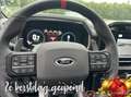 Ford F 150 USA Raptor R Grijs - thumbnail 24