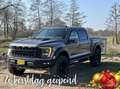 Ford F 150 USA Raptor R Grijs - thumbnail 12