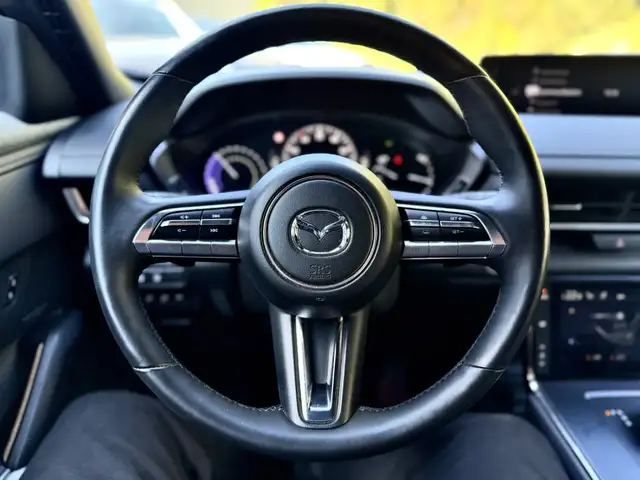 Mazda MX-30 view 12