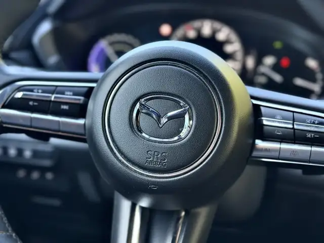 Mazda MX-30 view 14