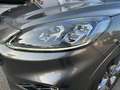 Ford Kuga 2.5 FHEV ST-Line X 2wd 190cv - AUT/NAVI/CAMERA/LED Grigio - thumbnail 16