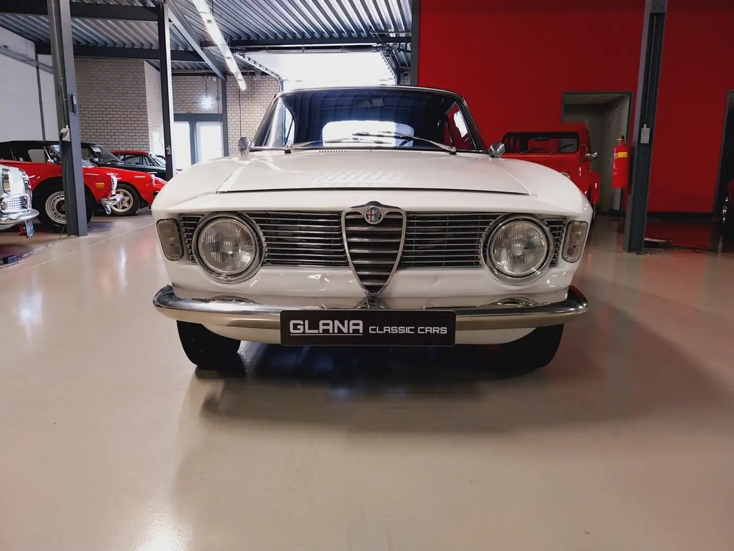Alfa Romeo Giulia GTC Blanco - 1