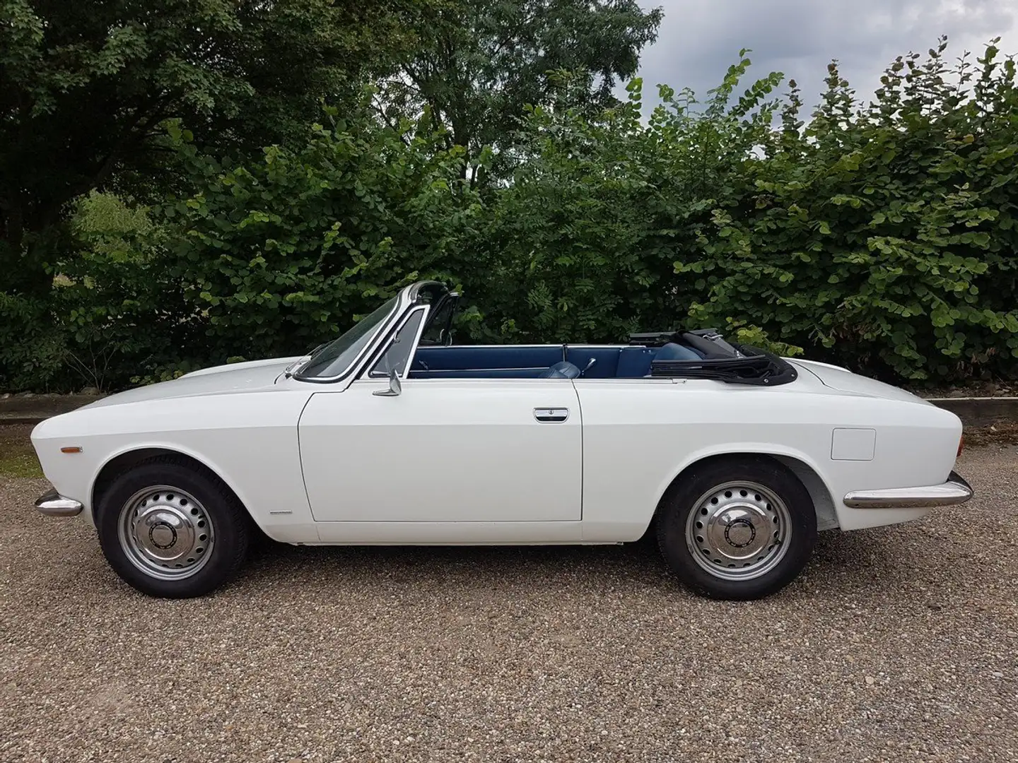 Alfa Romeo Giulia GTC Blanco - 2