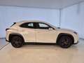 Lexus UX 250h Business Navigation 4WD Blanco - thumbnail 5
