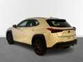 Lexus UX 250h Business Navigation 4WD Blanco - thumbnail 11