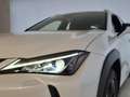 Lexus UX 250h Business Navigation 4WD Blanco - thumbnail 28