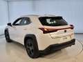 Lexus UX 250h Business Navigation 4WD Blanco - thumbnail 4