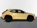 Lexus UX 250h Business Navigation 4WD Blanco - thumbnail 10