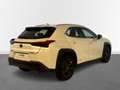 Lexus UX 250h Business Navigation 4WD Blanco - thumbnail 13