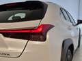 Lexus UX 250h Business Navigation 4WD Blanco - thumbnail 26