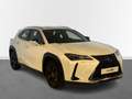 Lexus UX 250h Business Navigation 4WD Blanco - thumbnail 2