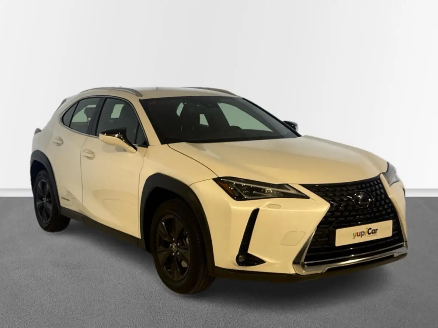 Lexus UX 250h Business Navigation 4WD Blanco - 2