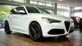 Alfa Romeo Stelvio 2.0 T AWD Super 280pk | Keyles | | Carplay | | Sch Fehér - thumbnail 1