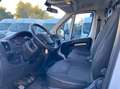Citroen Jumper 35 Bluehdi 140CV E6 CON SPONDA IDRAULICA + iva Weiß - thumbnail 13