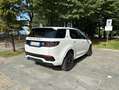Land Rover Discovery Sport 2020 2.0d td4 mhev awd S R-Dynamic 180cv auto Bianco - thumbnail 4