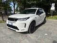 Land Rover Discovery Sport 2020 2.0d td4 mhev awd S R-Dynamic 180cv auto Bianco - thumbnail 1