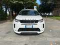 Land Rover Discovery Sport 2020 2.0d td4 mhev awd S R-Dynamic 180cv auto Bianco - thumbnail 2