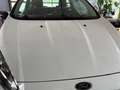 Ford Fiesta Ambiente~Klima~TÜV 08/2026~Hagelschaden Weiß - thumbnail 8