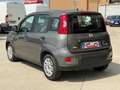 Fiat Panda Panda 1.0 City Life *PREZZO REALE SENZA VINCOLI* Gris - thumbnail 4