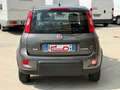 Fiat Panda Panda 1.0 City Life *PREZZO REALE SENZA VINCOLI* Gris - thumbnail 5