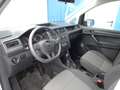 Volkswagen Caddy Maxi 2,0 TDI Kastenwagen Silber - thumbnail 11