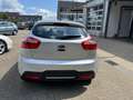 Kia Rio Business Line Grigio - thumbnail 9