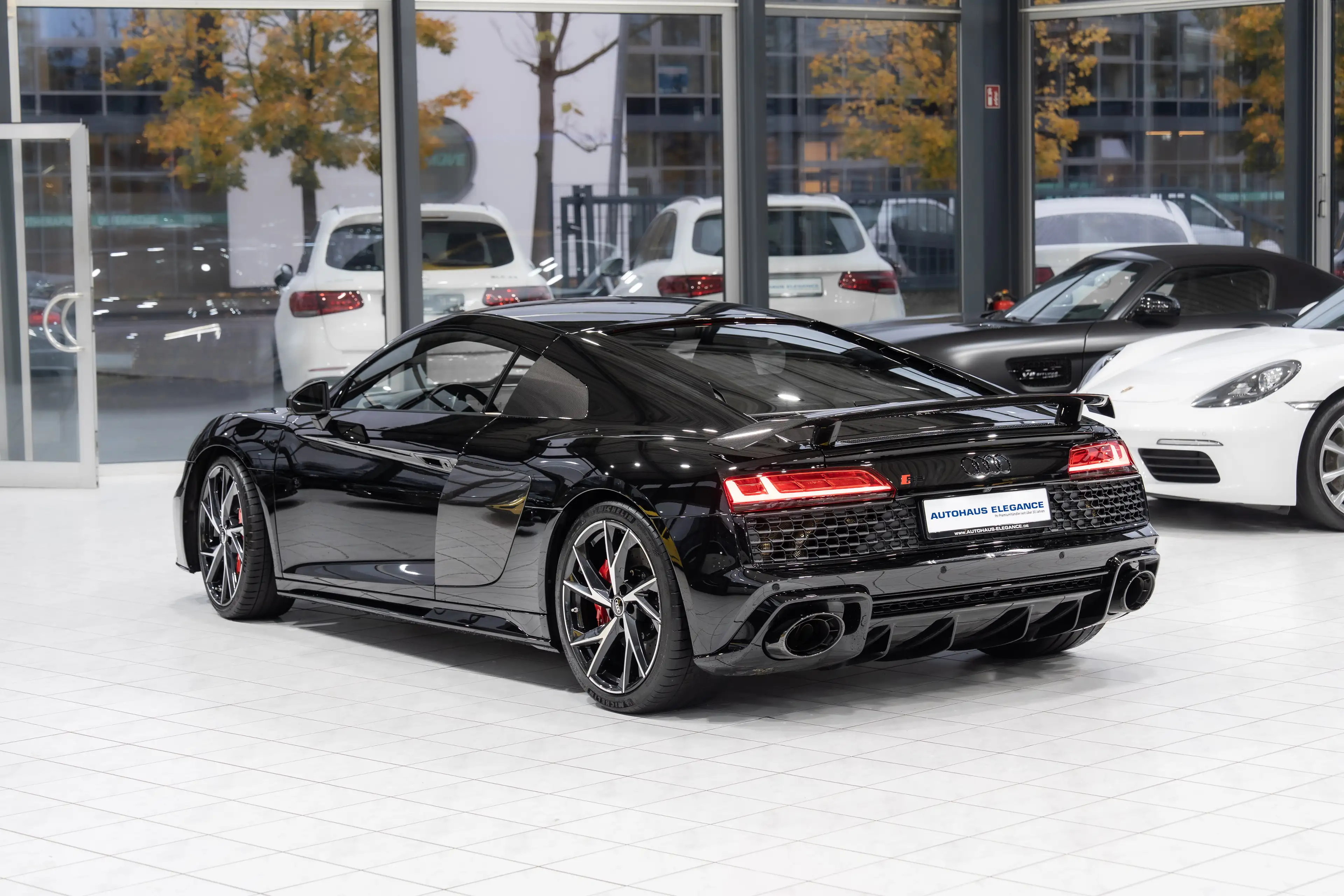 Audi R8 Coupe Perf.*CARBON-PAKET*SCHALENSITZE*KERAMIK — photo 9
