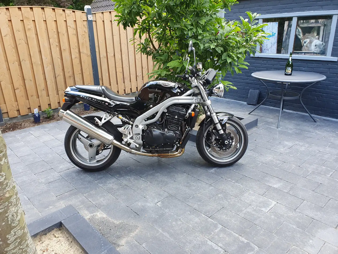 Triumph Speed Triple 955i Negru - 1