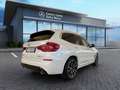 BMW X3 X3 xDrive20d Business Advantage - CONTO VENDITA Bianco - thumbnail 6