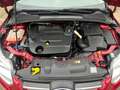 Ford Focus Turnier 2.0 TDCi Trend Automatik,Klima,PDC Rot - thumbnail 5