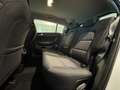 Kia Sportage 1.6 crdi mhev 2wd 136cv dct Blanc - thumbnail 12