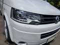 Volkswagen T5 Multivan Multivan Match 2,0 BiTDI 4motion D-PF Weiß - thumbnail 14