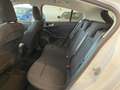 Ford Focus TITANIUM 1.0 EcoBoost 125 cv 6mt Blanc - thumbnail 15