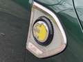 MINI Cooper SE Countryman Mini 2.0 ALL4 JCW, panodak, hud, stoelverwarming, Verde - thumbnail 6
