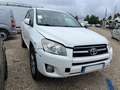 Toyota RAV 4 2.2 D-4D 150 Lounge / AC332 Blanco - thumbnail 1