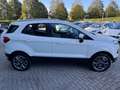 Ford EcoSport 1.0 EcoBoost Titanium Airco Lmv Pdc Blanc - thumbnail 11