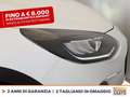 Ford Fiesta active 1.0 ecoboost h x 125cv Bianco - thumbnail 14