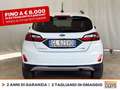 Ford Fiesta active 1.0 ecoboost h x 125cv Bianco - thumbnail 5