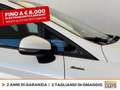 Ford Fiesta active 1.0 ecoboost h x 125cv Bianco - thumbnail 16